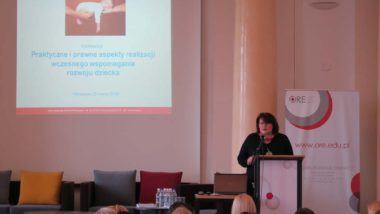 Jolanta Rafał-Łuniewska podczas wykładu o podstawowych założeniach wczesnego wspomagania rozwoju dziecka (WWRD)