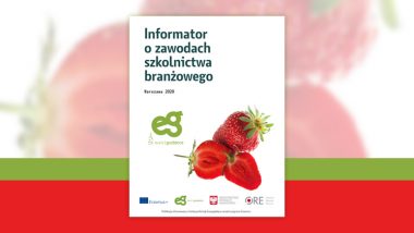 Okładka publikacji składa się z dużego napisu Informator o zawodach szkolnictwa branżowego w kolorze zielonym. Poniżej tytułu znajduje się napis Warszawa 2020. W dolnym prawym rogu umiejscowiona jest grafika czerwonej truskawki, obok logo projektu Eurodoradztwo Polska. Na dole znajdują się loga projektu Erasmus plus, Eurodoradztwo Polska, Ministerstwa Edukacji Narodowej i Ośrodka Rozwoju Edukacji. Pod logo jest informacja, że publikacja została sfinansowana z funduszy Komisji Europejskiej w ramach programu Erasmus plus.