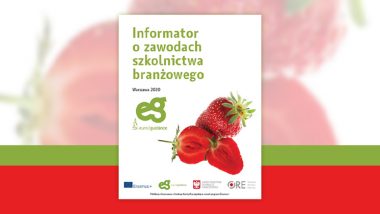 Okładka publikacji składa się z dużego napisu Informator o zawodach szkolnictwa branżowego w kolorze zielonym. Poniżej tytułu znajduje się napis Warszawa 2020. W dolnym prawym rogu umiejscowiona jest grafika czerwonej truskawki, obok logo projektu Eurodoradztwo Polska. Na dole znajdują się loga projektu Erasmus plus, Eurodoradztwo Polska, Ministerstwa Edukacji Narodowej i Ośrodka Rozwoju Edukacji. Pod logo jest informacja, że publikacja została sfinansowana z funduszy Komisji Europejskiej w ramach programu Erasmus plus.