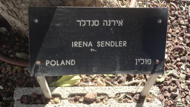 Drzewo Ireny Sendlerowej w Ogrodzie Sprawiedliwych na terenie Instytutu Yad Vashem w Jerozolimie